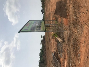 Land In London Parks And Gardens  Land for Sale Ido Oyo Vetra  Property