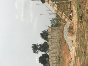 Image 1 Title