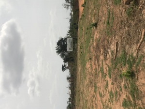 Image 1 Title
