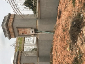 Image 1 Title