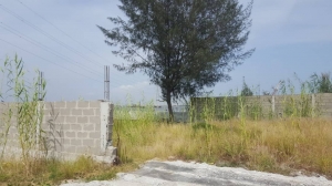Image 1 Title