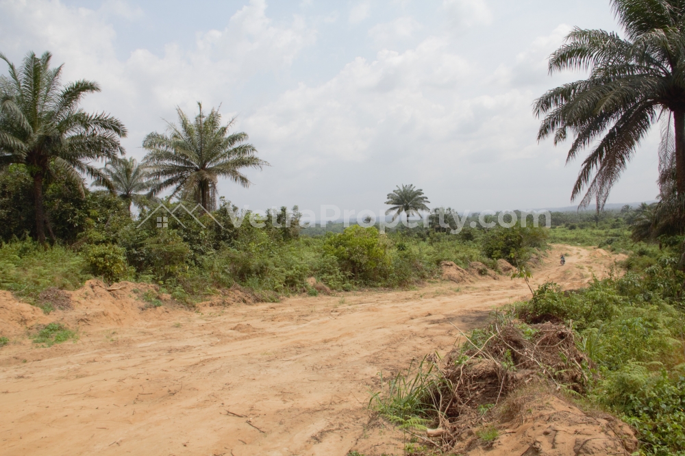  Land  Land for Sale Calabar Cross River Vetra  Property