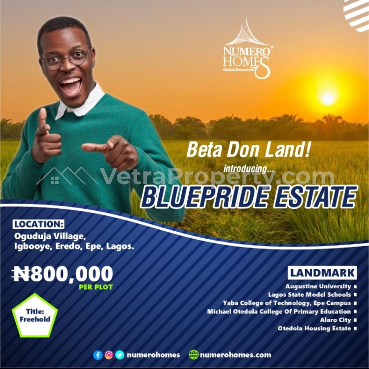  Blue Pride Estate  Land for Rent Epe Lagos Vetra  Property