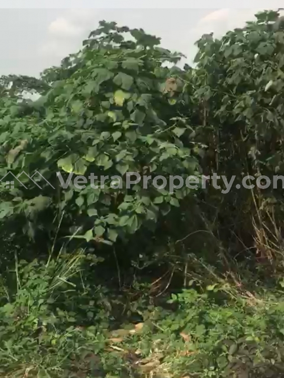  Fenced And Gated Land Available For Sale At Akinyemi  Land for Rent Ibadan Oyo Vetra  Property