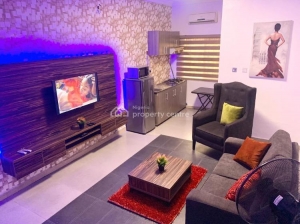 Executive Mini Flat  Mini Flat for Short let Victoria Island Lagos Vetra  Property