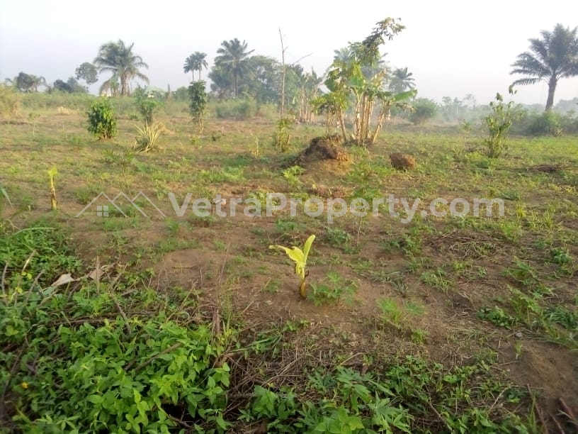  A Massive Land Measuring About 8,500sqm  Land for Sale Uyo Akwa Ibom Vetra  Property