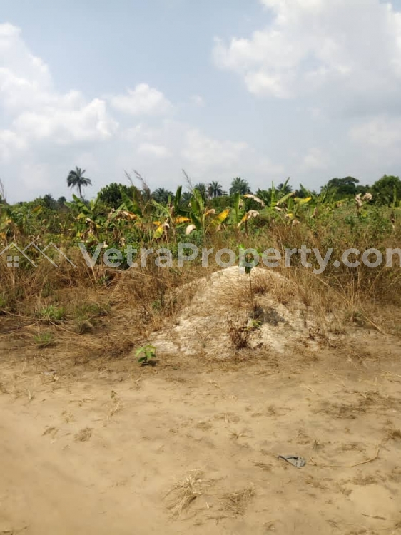  A Land Measuring About 2,000sqm (3 In One Plots) For Sale Immediately  Land for Sale Uyo Akwa Ibom Vetra  Property
