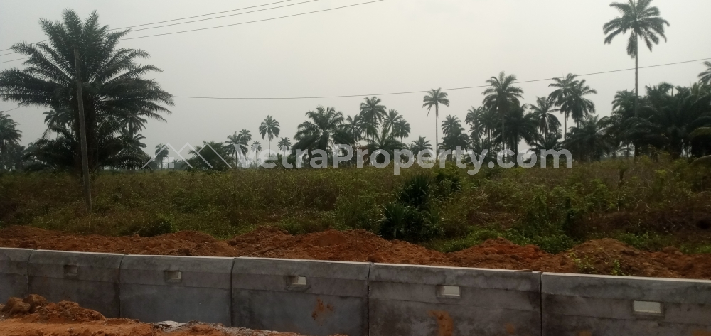  A Land Measuring 3 Hectares  Land for Sale Uyo Akwa Ibom Vetra  Property