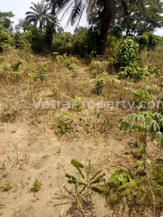  A Land Measuring 2700sqm In A Good Location  Land for Sale Uyo Akwa Ibom Vetra  Property