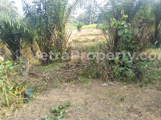  A Land Measuring 2,241.74 Sqm Fenced With A Dual Fence For Sale In Uyo  2,242 Meter Square of Land for Sale Uyo Akwa Ibom Vetra  Property