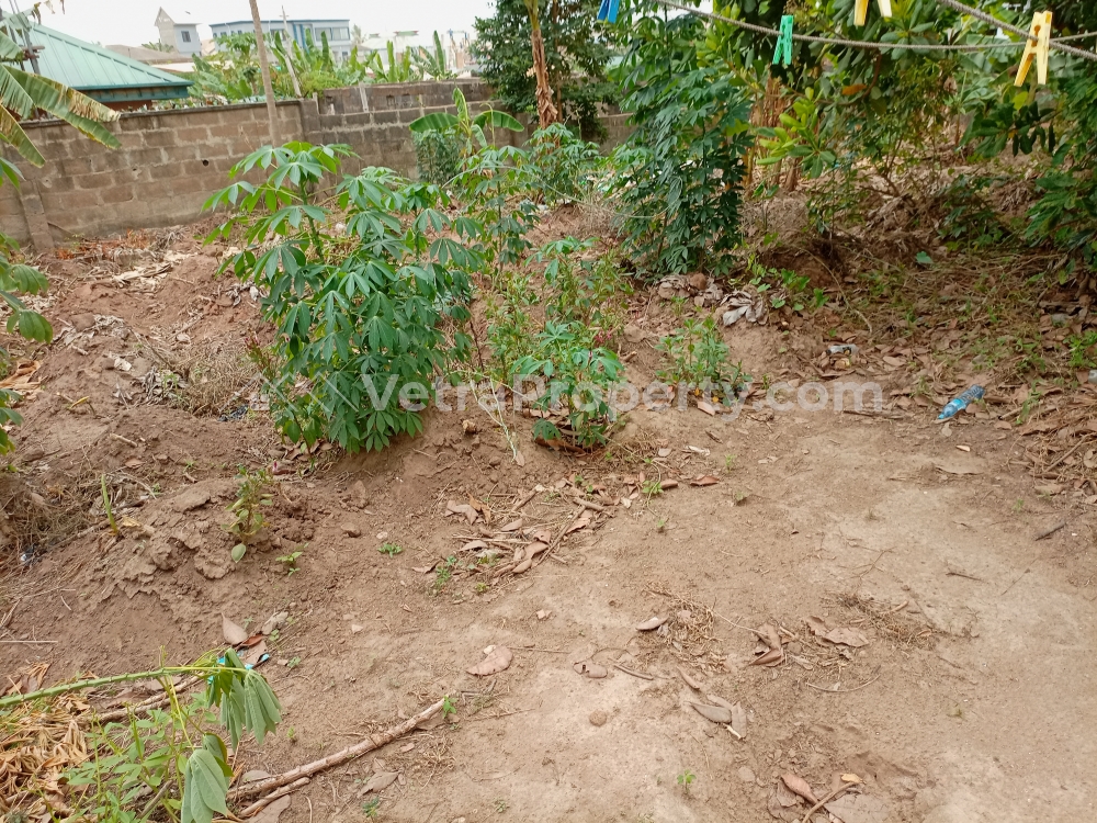 120ft By 50ft Land  Land for Sale Magboro Ogun Vetra  Property