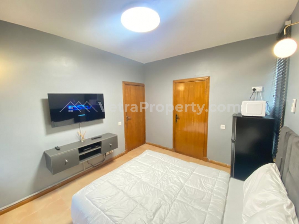  Well Furnished Studio Apartment  Studio Apartment for Short let Ikoyi Lagos Vetra  Property