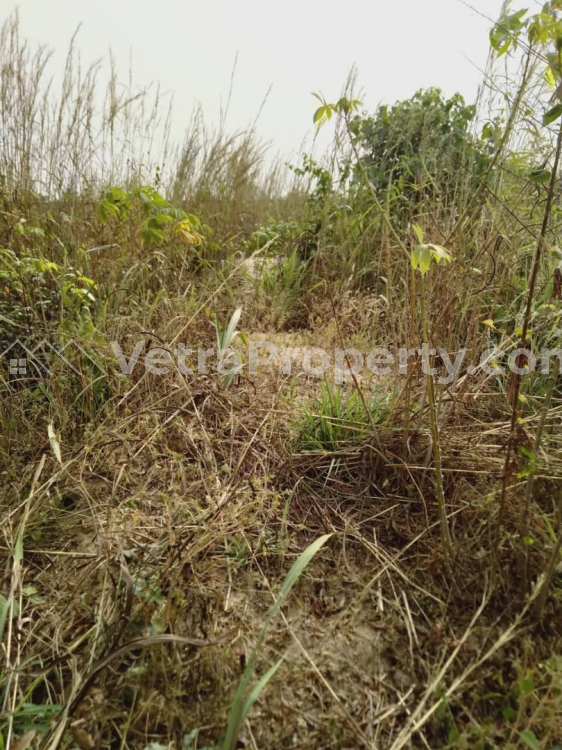  Virgin Land For Sale In Asaba  929 Meter Square of Land for Sale Oshimili Delta Vetra  Property