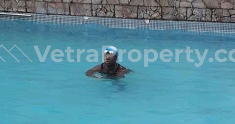 Image 1 Title