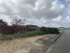 Image 1 Title