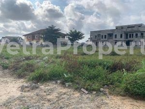  3 Acres Commercial Land Along Magazine Road Jericho Ibadan  1,200 Meter Square of Land for Sale Ibadan Oyo Vetra  Property