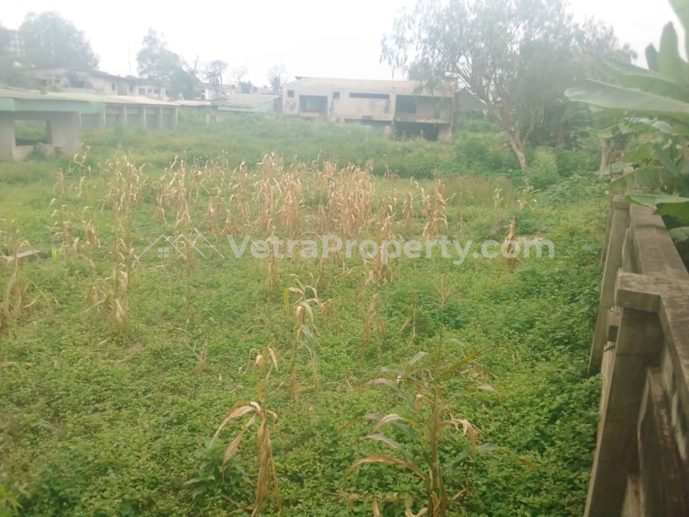  3 Acres Of Land  600 Meter Square of Land for Sale Ibadan Oyo Vetra  Property