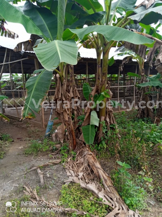  2.5 Acres Land  Factory for Sale Ibadan Oyo Vetra  Property