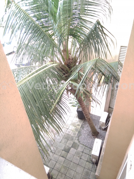 Image 1 Title
