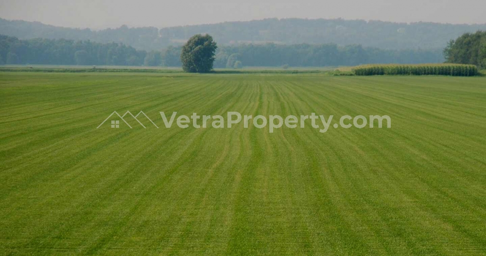  A Very Fertile And Mixed Use Land Of 1200sqm  Land for Sale Ikoyi Lagos Vetra  Property