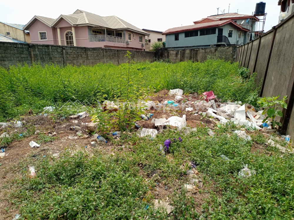  A Solid Full Plot Of Land  Land for Sale Gbagada Lagos Vetra  Property