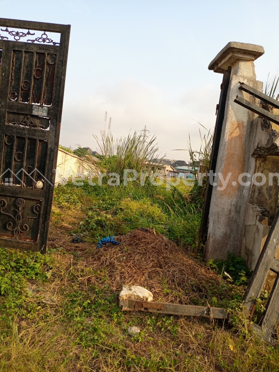  A Full Plot Of Land  620 Meter Square of Land for Sale Gbagada Lagos Vetra  Property