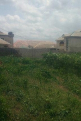 A Plot Of Land 1 Plot of Land for Sale Ifo Ogun Vetra  Property