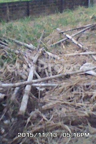  Full Plot Of Land With C Of O.......  Land for Sale Ojodu Lagos Vetra  Property
