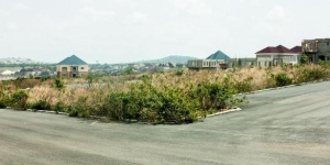 Image 1 Title