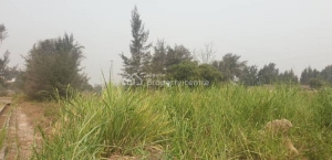 Image 1 Title