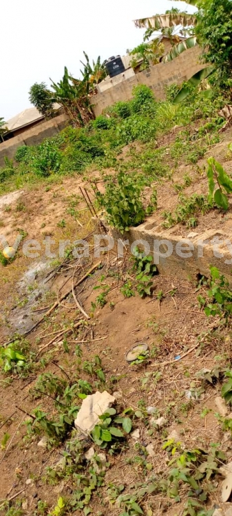  3 Acres Of Land  3 Acres of Land for Sale Agbara Igbesa Ogun Vetra  Property