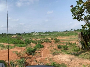 Fenced And Levelled Industrial Land Measuring One Hectare With C Of O  1 Hectare of Land for Sale Idu Abuja Vetra  Property