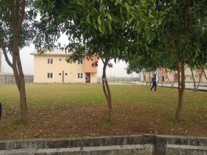 Image 1 Title
