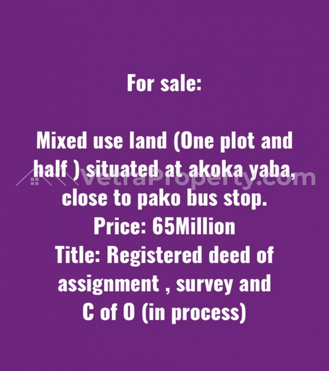  Mixed Use Land (one Plot And Half ) Situated At Akoka Yaba  Land for Sale Yaba Lagos Vetra  Property