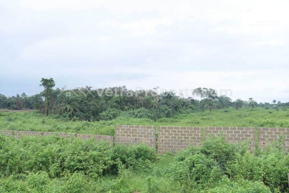  Land For Sale Alacrity Estate  Land for Sale Ibeju Lekki Lagos Vetra  Property