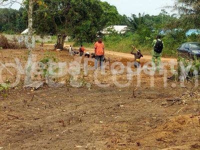 Image 1 Title