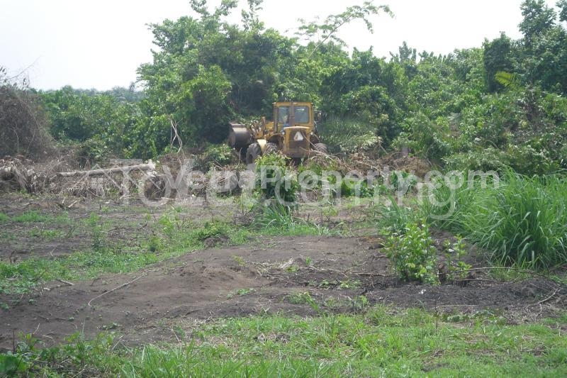  Land For Sale In Ocean Wood Estate Ibeju Lekki Lagos Nigeria  Land for Sale Ibeju Lekki Lagos Vetra  Property