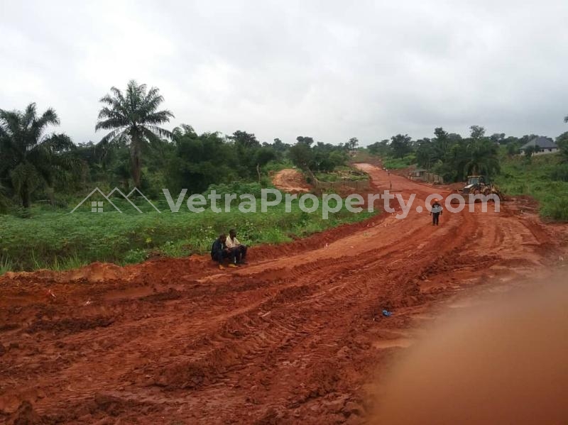  Acres Of Farmland With C Of O For Sale In Anambra State Nigeria  Land for Sale Anambra Anambra Vetra  Property