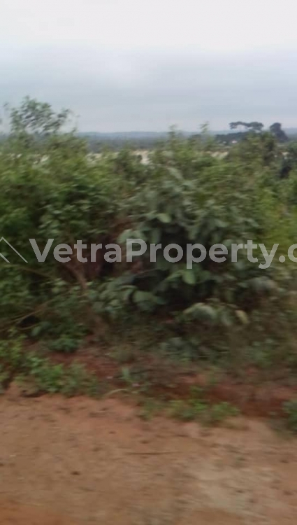  Acres Of Farmland For Sale In Epe Lagos Nigeria  150 Acres of Land for Sale Epe Lagos Vetra  Property
