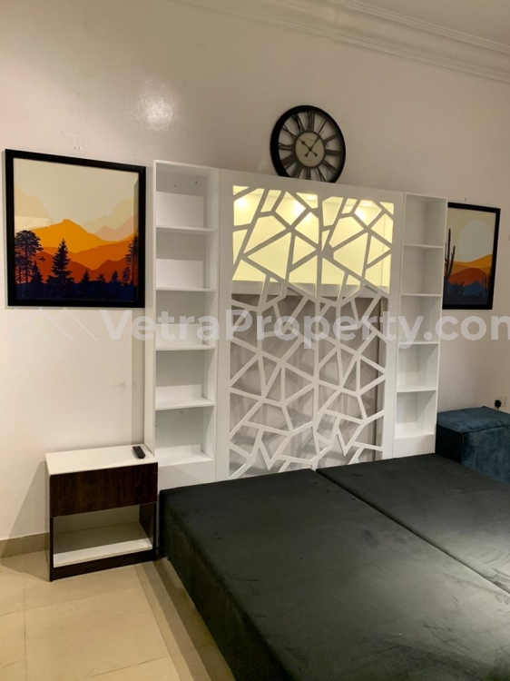  Tastefully Furnished 1 Bedroom Apartment  Mini Flat for Short let Lekki Lagos Vetra  Property