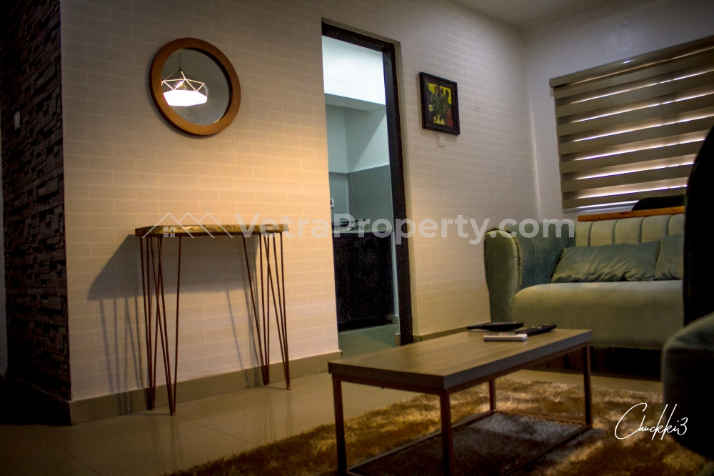  Tastefully Furnished 1 Bedroom Apartment  Mini Flat for Short let Lekki Lagos Vetra  Property
