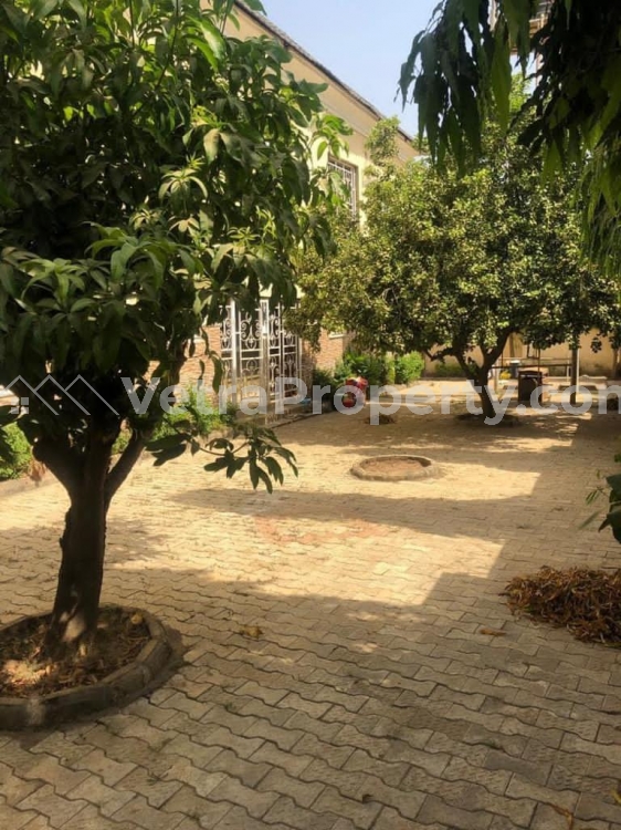 Image 1 Title
