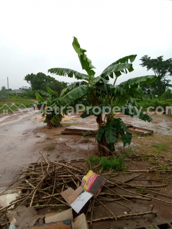  An Actre Of Land In Imota  Land for Sale Ikorodu Lagos Vetra  Property