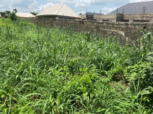 Plot Of Land 1 Plot of Land for Sale Owerri Imo Vetra  Property