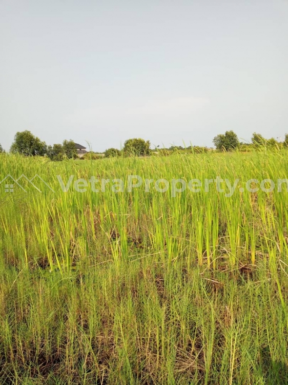  A Corner Piece Of Land Measuring 896.512 Sqm  Land for Sale Lekki Lagos Vetra  Property