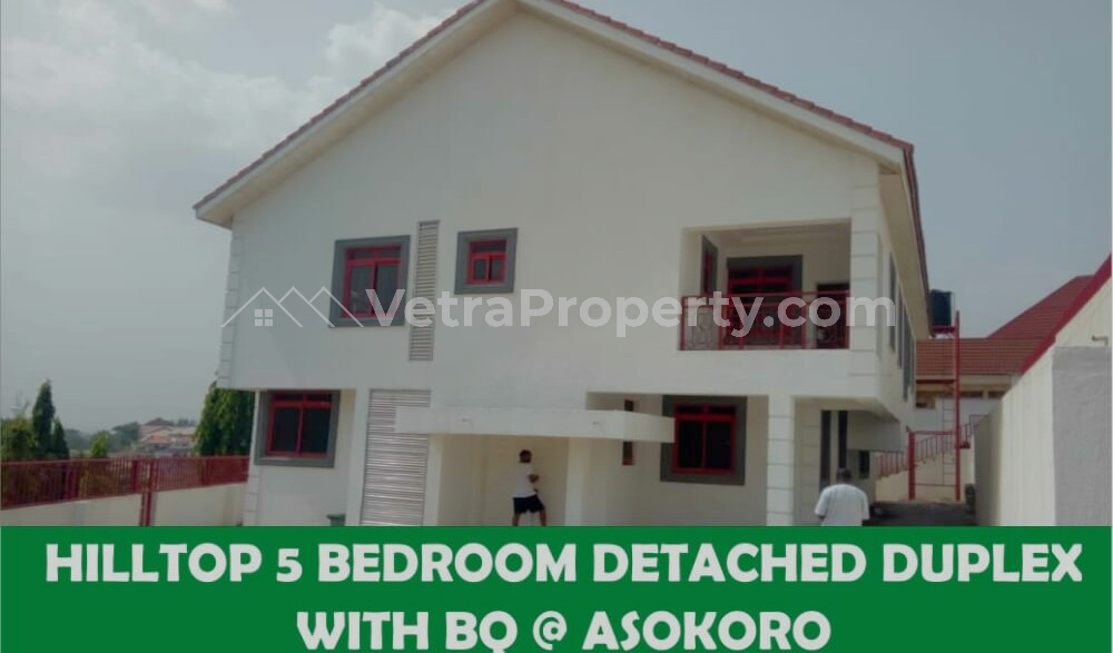  Beautifully Built 3bedroom Detached Duplex With Bq  5 bedroom Detached Duplex for Rent Asokoro Abuja Vetra  Property