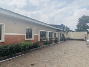 5bedrooms Detached Bungalow Plus 3rooms Bq For Commercial Purpose 5 bedroom Detached Bungalow for Rent Ikeja Lagos Vetra  Property