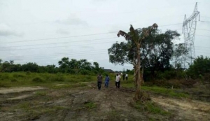 464 Sqm Mixed Use Land 464 Meter Square of Land for Sale Warri Delta Vetra  Property