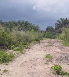 600sqm Mixed Use Land 600 Meter Square of Land for Sale Ibeju Lekki Lagos Vetra  Property