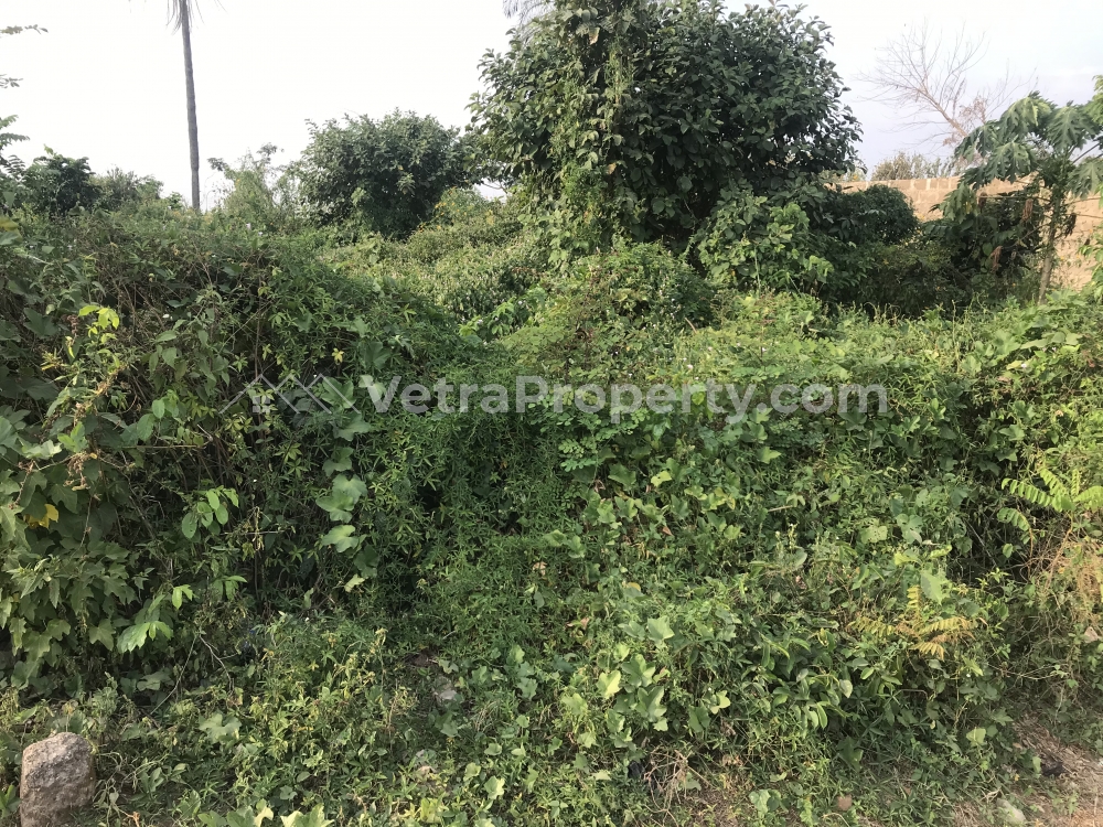  One Plot Of Land Close To The Main Road  1 Plot of Land for Sale Ede South Osun Vetra  Property